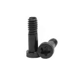SET OF 10 SCREWS FOR IPHONE5S IPHONE 5S BLACK