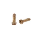 SET OF 10 SCREWS FOR IPHONE5S IPHONE 5S GOLD
